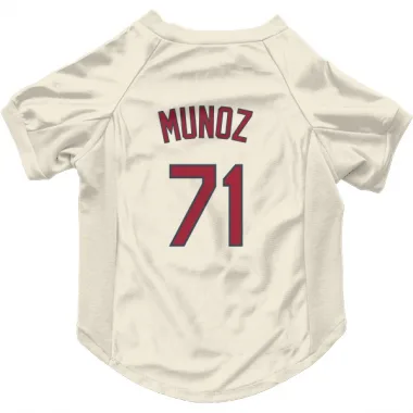 Cream St. Louis Cardinals Roddery Munoz   Dog & Cat Pet Jersey