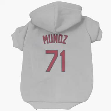 Gray St. Louis Cardinals Roddery Munoz   Dog & Cat Pet Hoodie