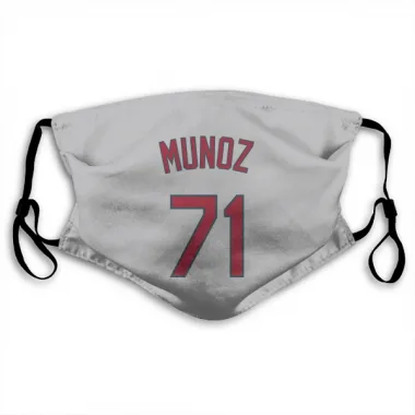 Gray St. Louis Cardinals Roddery Munoz   Face Mask