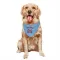 Light Blue St. Louis Cardinals Matthew Koperniak   Dog & Cat Pet Bandana