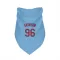 Light Blue St. Louis Cardinals Matthew Svanson   Dog & Cat Pet Bandana