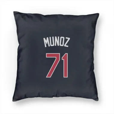 Navy St. Louis Cardinals Roddery Munoz   Pillow Cover (18 X 18)