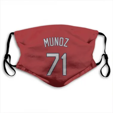 Red St. Louis Cardinals Roddery Munoz   Face Mask