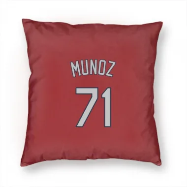 Red St. Louis Cardinals Roddery Munoz   Pillow Cover (18 X 18)